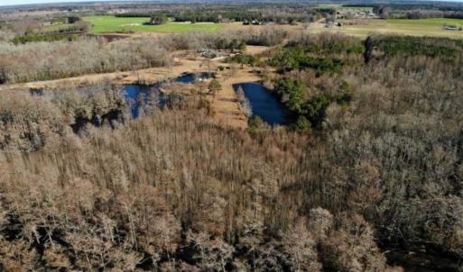 Photo of SOLD!!  27 Acre Marina and Waterfront Land For Sale in Chowan County NC!