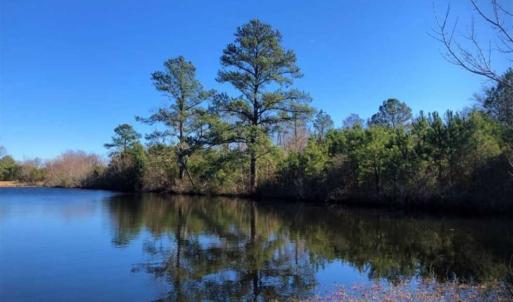 Photo of SOLD!!  27 Acre Marina and Waterfront Land For Sale in Chowan County NC!