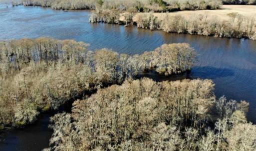 Photo of SOLD!!  27 Acre Marina and Waterfront Land For Sale in Chowan County NC!