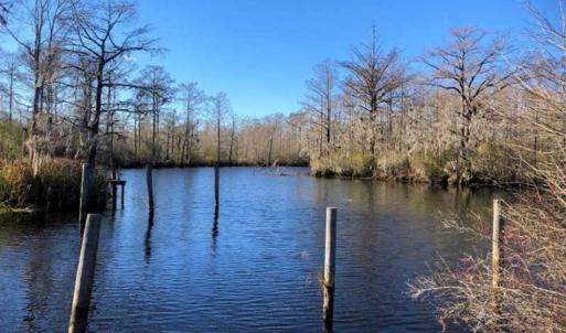 Photo of SOLD!!  27 Acre Marina and Waterfront Land For Sale in Chowan County NC!