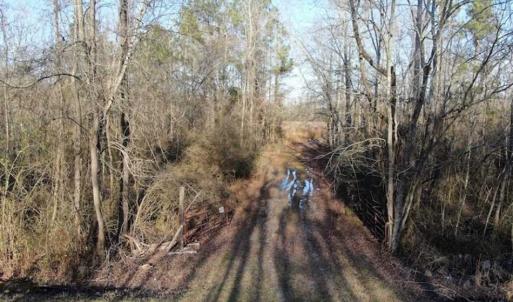 Photo of CLOSED!!  20 Acres of Farm and Hunting Land For Sale in Robeson County NC!