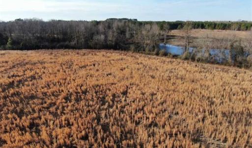 Photo of CLOSED!!  20 Acres of Farm and Hunting Land For Sale in Robeson County NC!