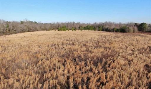 Photo of CLOSED!!  20 Acres of Farm and Hunting Land For Sale in Robeson County NC!