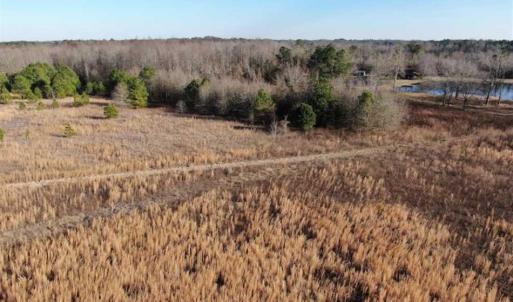 Photo of CLOSED!!  20 Acres of Farm and Hunting Land For Sale in Robeson County NC!