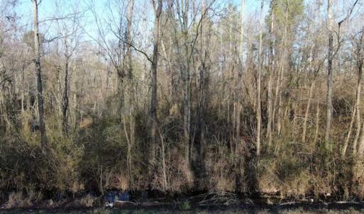 Photo of CLOSED!!  20 Acres of Farm and Hunting Land For Sale in Robeson County NC!