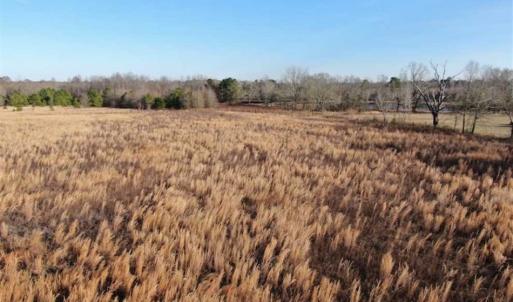 Photo of CLOSED!!  20 Acres of Farm and Hunting Land For Sale in Robeson County NC!