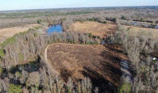 Photo of CLOSED!!  20 Acres of Farm and Hunting Land For Sale in Robeson County NC!