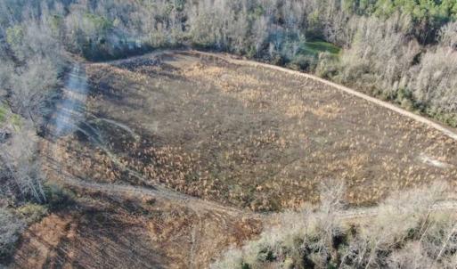 Photo of CLOSED!!  20 Acres of Farm and Hunting Land For Sale in Robeson County NC!