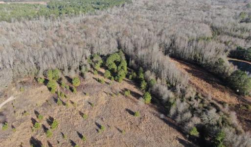 Photo of CLOSED!!  20 Acres of Farm and Hunting Land For Sale in Robeson County NC!