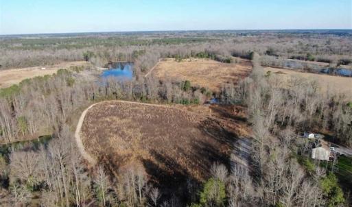 Photo of CLOSED!!  20 Acres of Farm and Hunting Land For Sale in Robeson County NC!