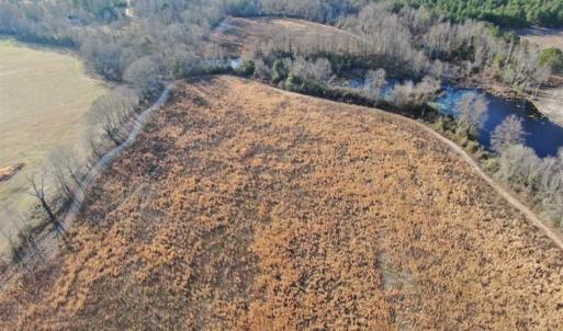 Photo of CLOSED!!  20 Acres of Farm and Hunting Land For Sale in Robeson County NC!