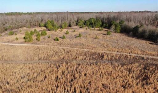 Photo of CLOSED!!  20 Acres of Farm and Hunting Land For Sale in Robeson County NC!