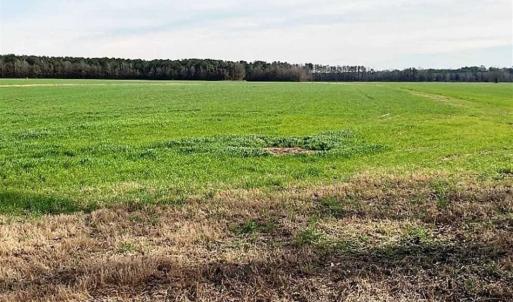 Photo of SOLD!!  23.1 Acres of Farm Land For Sale in Beaufort County NC!