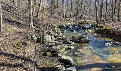 Photo of SOLD!! 37.31 Acres of Multi-Use Land For Sale in Person County NC!