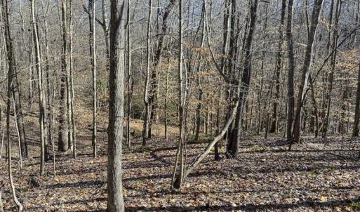Photo of SOLD!! 37.31 Acres of Multi-Use Land For Sale in Person County NC!