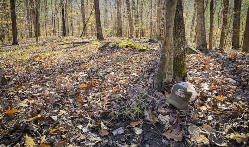 Photo of SOLD!! 37.31 Acres of Multi-Use Land For Sale in Person County NC!