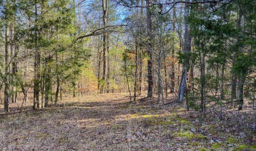 Photo of SOLD!! 37.31 Acres of Multi-Use Land For Sale in Person County NC!