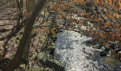 Photo of SOLD!! 37.31 Acres of Multi-Use Land For Sale in Person County NC!