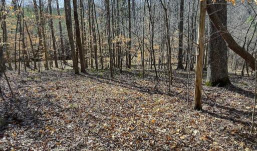 Photo of SOLD!! 37.31 Acres of Multi-Use Land For Sale in Person County NC!