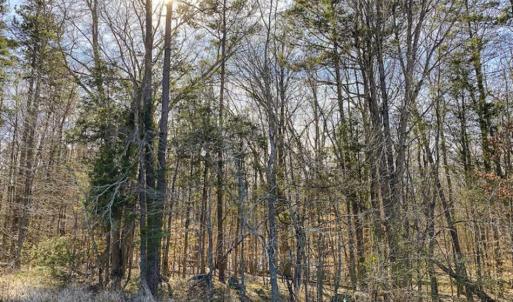 Photo of SOLD!! 37.31 Acres of Multi-Use Land For Sale in Person County NC!