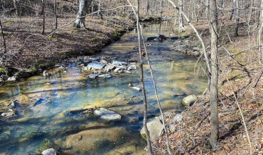 Photo of SOLD!! 37.31 Acres of Multi-Use Land For Sale in Person County NC!