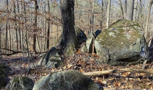 Photo of SOLD!! 37.31 Acres of Multi-Use Land For Sale in Person County NC!