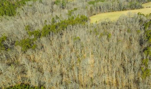 Photo of SOLD!! 37.31 Acres of Multi-Use Land For Sale in Person County NC!