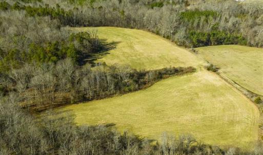 Photo of SOLD!! 37.31 Acres of Multi-Use Land For Sale in Person County NC!