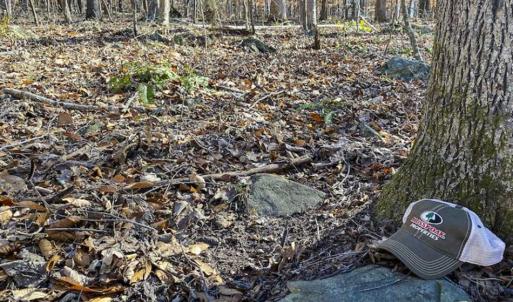 Photo of SOLD!! 37.31 Acres of Multi-Use Land For Sale in Person County NC!