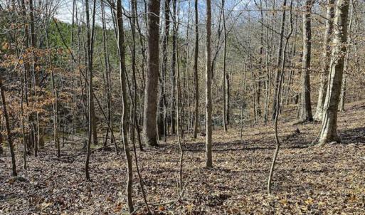 Photo of SOLD!! 37.31 Acres of Multi-Use Land For Sale in Person County NC!