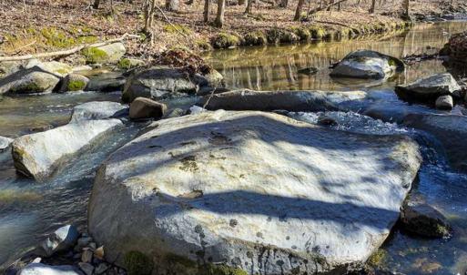 Photo of SOLD!! 37.31 Acres of Multi-Use Land For Sale in Person County NC!
