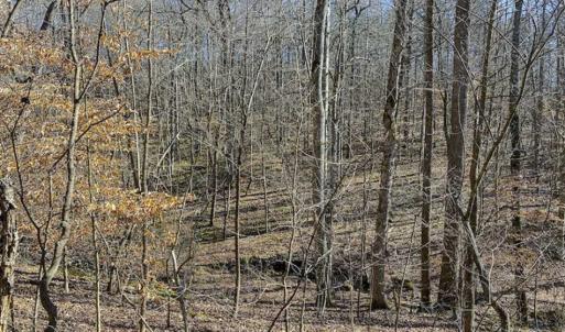 Photo of SOLD!! 37.31 Acres of Multi-Use Land For Sale in Person County NC!