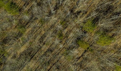 Photo of SOLD!! 37.31 Acres of Multi-Use Land For Sale in Person County NC!
