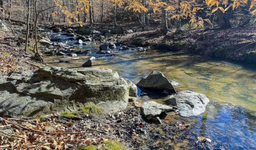 Photo of SOLD!! 37.31 Acres of Multi-Use Land For Sale in Person County NC!