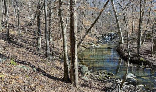 Photo of SOLD!! 37.31 Acres of Multi-Use Land For Sale in Person County NC!