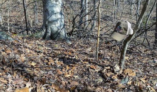 Photo of SOLD!! 37.31 Acres of Multi-Use Land For Sale in Person County NC!