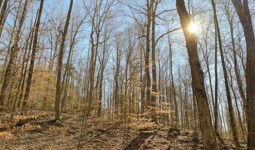 Photo of SOLD!! 37.31 Acres of Multi-Use Land For Sale in Person County NC!
