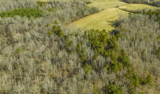 Photo of SOLD!! 37.31 Acres of Multi-Use Land For Sale in Person County NC!