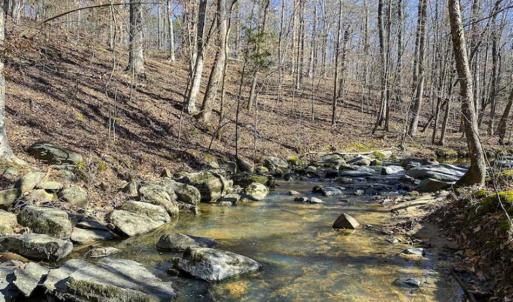 Photo of SOLD!! 37.31 Acres of Multi-Use Land For Sale in Person County NC!