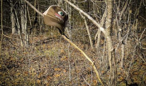 Photo of SOLD!! 37.31 Acres of Multi-Use Land For Sale in Person County NC!