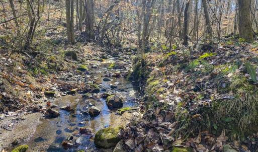 Photo of SOLD!! 37.31 Acres of Multi-Use Land For Sale in Person County NC!