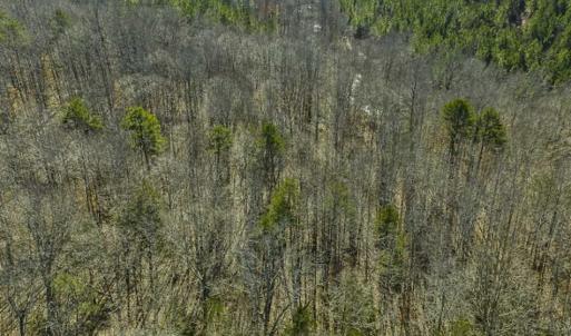 Photo of SOLD!! 37.31 Acres of Multi-Use Land For Sale in Person County NC!
