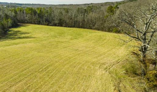Photo of SOLD!! 37.31 Acres of Multi-Use Land For Sale in Person County NC!