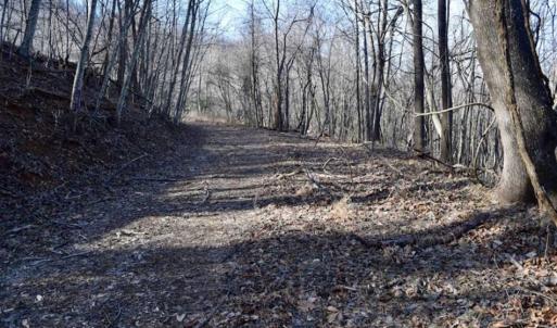 Photo of SOLD!!  6 Acres of Hunting and Residential Land For Sale in Franklin County VA!