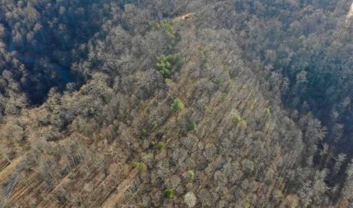 Photo of SOLD!!  6 Acres of Hunting and Residential Land For Sale in Franklin County VA!