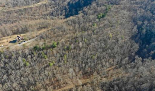 Photo of SOLD!!  6 Acres of Hunting and Residential Land For Sale in Franklin County VA!