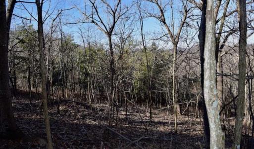 Photo of SOLD!!  6 Acres of Hunting and Residential Land For Sale in Franklin County VA!