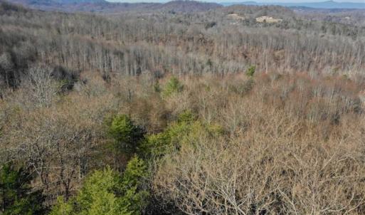 Photo of SOLD!!  6 Acres of Hunting and Residential Land For Sale in Franklin County VA!