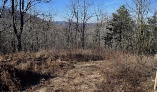 Photo of SOLD!!  6 Acres of Hunting and Residential Land For Sale in Franklin County VA!