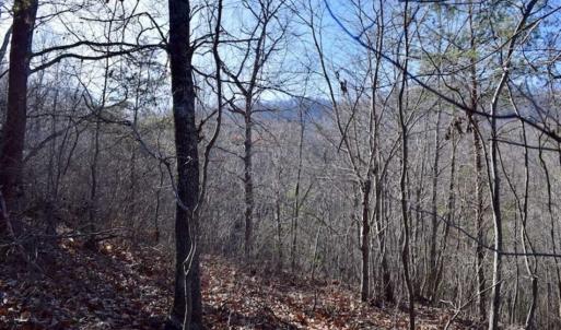 Photo of SOLD!!  6 Acres of Hunting and Residential Land For Sale in Franklin County VA!
